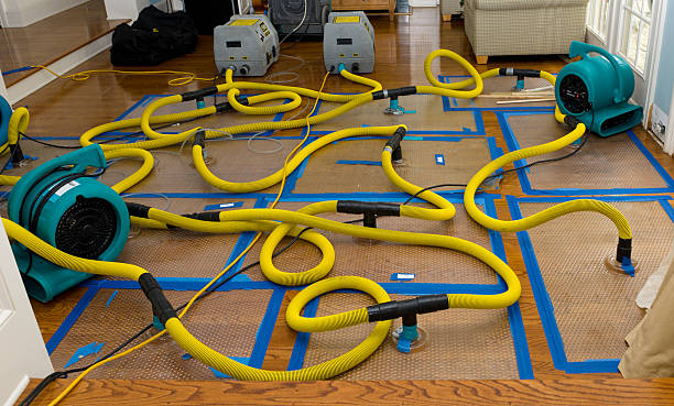 Professional Flood Damage Restoration technician working in Gainesville, FL